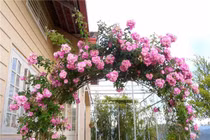 Ngôi nhà nhìn đâu cũng thấy hoa nở của ca sĩ Bích Phương