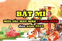 Màu sắc may mắn cho 12 con giáp mặc Tết Nguyên đán 2022