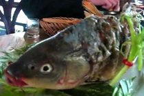 Kinh dị món cá âm dương gây tranh cãi của Trung Quốc