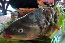 Kinh dị món cá âm dương gây tranh cãi của Trung Quốc