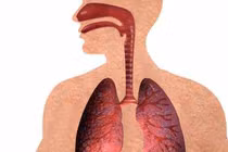 Châu Âu: 1/10 người tử vong do bệnh phổi