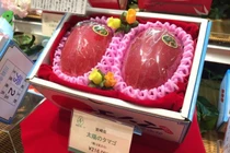 220 triệu đồng/chùm nho: Vì sao người Nhật làm được? 