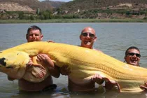 Những thủy quái khủng bị con người chinh phục (6)