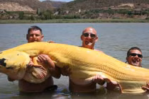 Những thủy quái khủng bị con người chinh phục (6)