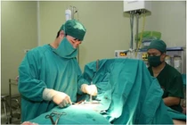 Hà Nội: Hy hữu thai nhi 8 tuần tuổi đã gây vỡ tử cung