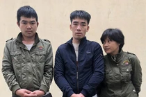 Dùng xe 7 chỗ đi trộm chó, ném bom xăng nếu bị truy bắt