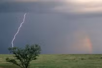 Hé lộ nguyên nhân hai mẹ con tử vong trong tiệm cầm đồ ở TP HCM