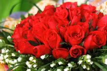 Những món quà 20/11 giá mềm vẫn đầy ý nghĩa