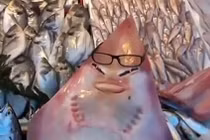 “Cá mập mặt người” hiếm gặp sa lưới ngư dân