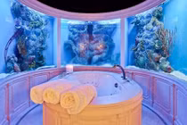 Những kiểu bể cá cảnh trang trí nhà độc đáo