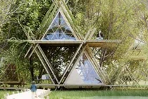 Điều bí ẩn ở khách sạn tre “có 1-0-2” 