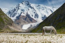 4 thiên đường hạ giới nên đến ở châu Á 