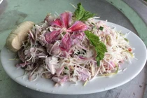 Các loại hoa rừng vừa đẹp vừa làm món ăn ngon