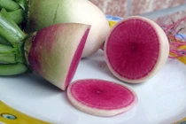 Phát sốt củ cải ruột hồng "đẻ" ra tiền