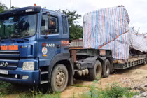 Cây “khủng" bị bắt ở Quảng Bình từng được bán đấu giá ở Quảng Ngãi