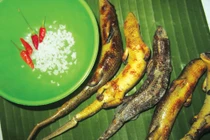 Các món ngon từ rắn mối, người khen ngon người sợ tái mặt