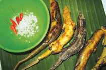 Các món ngon từ rắn mối, người khen ngon người sợ tái mặt