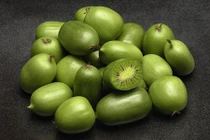 Tận mục giống kiwi berry xanh hái ra tiền