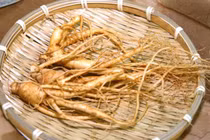 Ăn nhân sâm kiểu này, dùng bao nhiêu cũng vô tác dụng