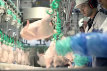 Hình ảnh bên trong nhà máy sản xuất gà miếng của McDonald’s