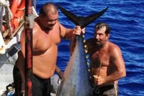 Cần thủ hút chết vì bị cá “khủng”... kéo xuống biển