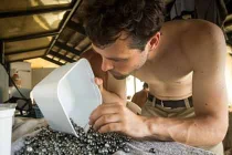 Ảnh độc quy trình chế biến ngọc trai cực quý hiếm