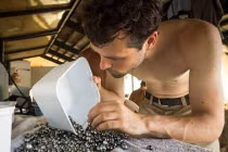 Ảnh độc quy trình chế biến ngọc trai cực quý hiếm