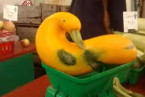 Choáng với thực phẩm có hình dáng dị thường khó tin