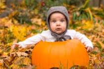 Tan chảy với ảnh em bé trong bí ngô siêu dễ thương