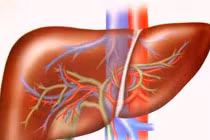 Những triệu chứng ung thư gan