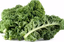 Những lợi ích thần kỳ của cải xoăn kale