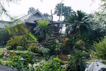 Ngắm loạt nhà vườn đẹp như mơ của ca sĩ Việt