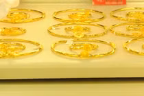 Giá vàng hôm nay 18/9: USD biến động mạnh, vàng tụt giảm