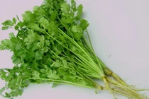 Cải thiện thị lực, tăng cường miễn dịch bằng... rau mùi