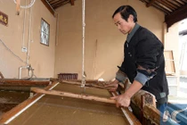 Cận cảnh quy trình làm giấy viết từ phân gấu trúc