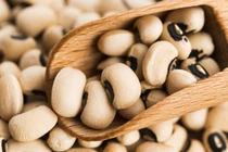 10 lý do bạn nên ăn đậu mắt đen hằng ngày 