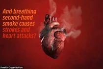 Kinh hoàng thuốc lá tàn phá trái tim con người