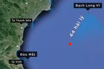 Vớt được thảm cao su tại khu tìm kiếm CASA 212