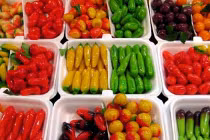 Những món ăn vặt cực hấp dẫn của Thái Lan