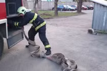 Cô gái gọi cứu hỏa đến dập tắt “tâm hồn nóng bỏng”