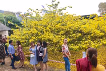 Tỷ phú Nam Định chơi long sàng đế vương độc nhất Việt Nam