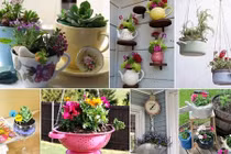 Chế chậu hoa trang trí từ vật dụng nhà bếp