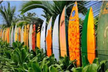 Những kiểu hàng rào trang trí vườn nhà cực độc