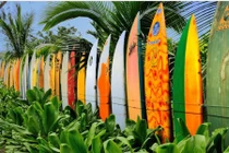 Những kiểu hàng rào trang trí vườn nhà cực độc