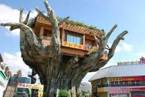 Những quán cà phê kỳ lạ trên thế giới 