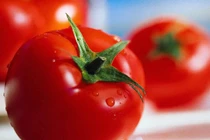 Tác hại ít ai ngờ khi ăn nhiều cà chua