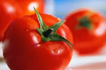 Tác hại ít ai ngờ khi ăn nhiều cà chua