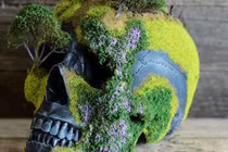 Bonsai cực độc tạo dáng trên vật liệu lạ