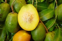 Lợi ích sức khỏe ít biết của quả cóc khiến bạn kinh ngạc