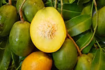 Lợi ích sức khỏe ít biết của quả cóc khiến bạn kinh ngạc